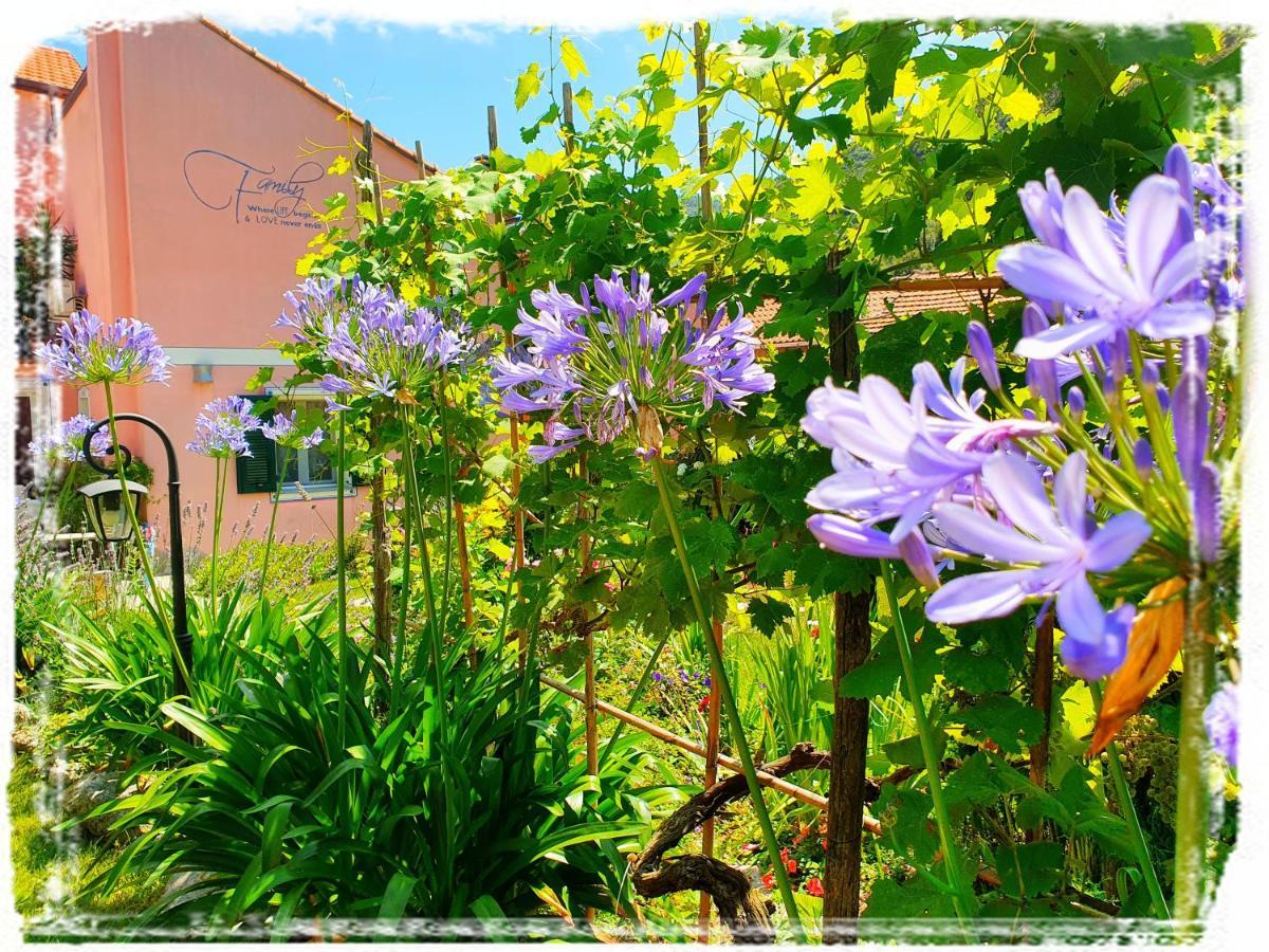 Casa Vacanze Family Albisola Superiore Exterior foto